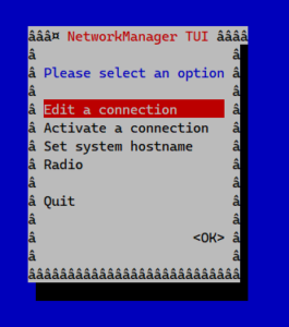nmtui_interface